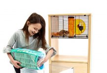 como limpiar la jaula de tu hamster facilmente